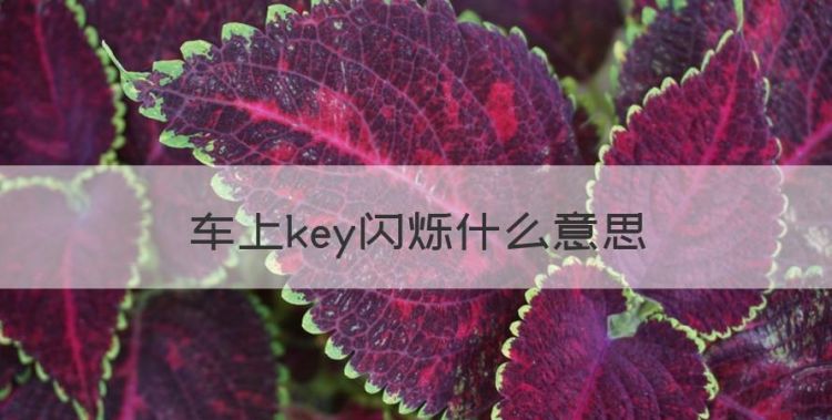 车上key闪烁什么意思，车上key灯闪了是什么意思