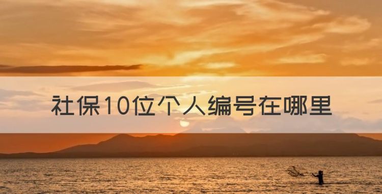 社保0位个人编号在哪里，社保10位个人编号在哪里查看图1