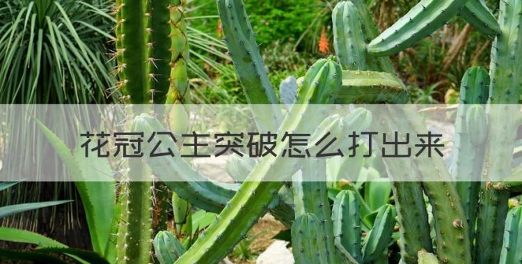 花冠公主突破怎么打，奥拉星手游修罗突破怎么打视频