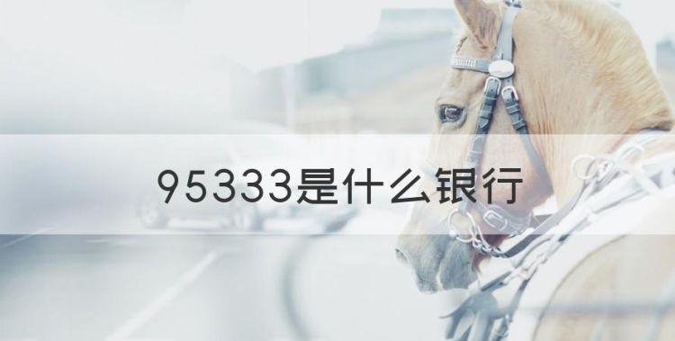 95333是什么银行