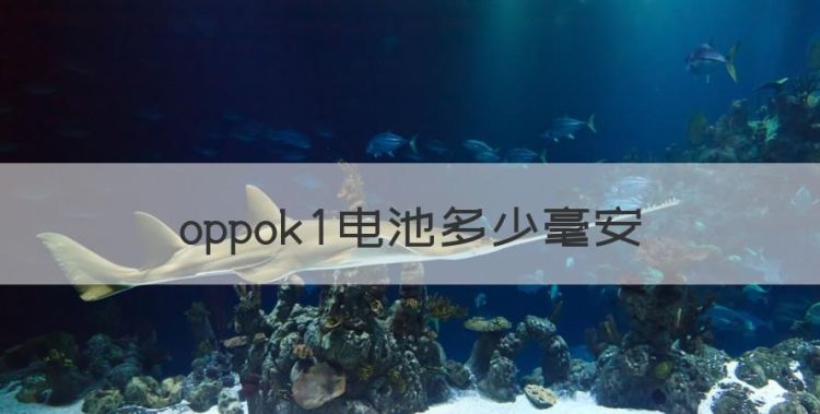 oppok9x参数配置，oppok电池多少毫安