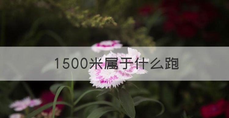 500米属于什么跑，500米几分钟跑完及格图1