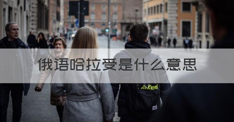 俄语哈拉受是什么意思，俄罗斯口中的哈拉索是什么意思?