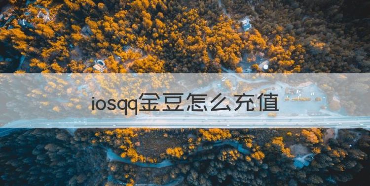 iosqq金豆怎么充值，苹果手机怎么买qq金豆图1