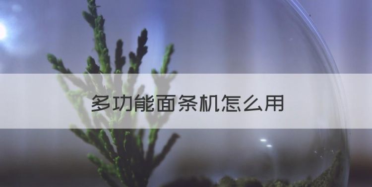 多功能面条机怎么用，面条机怎么做面条筋道