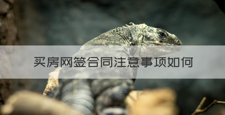 买房网签合同注意事项如何，购房合同网签时要注意什么图1