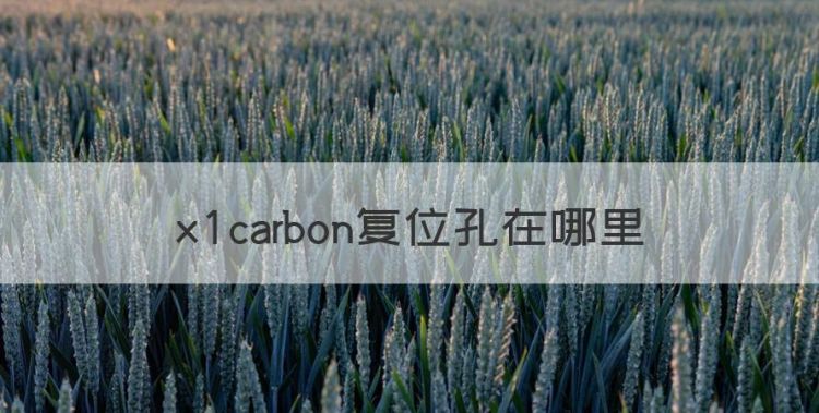 xcarbon复位孔在哪里