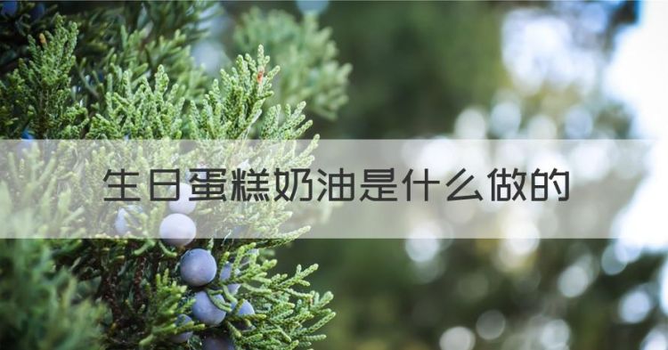 生日蛋糕奶油是什么做的，蛋糕上的奶油是用什么做的能吃么