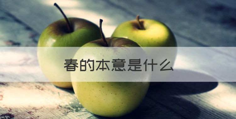 春的本意是什么