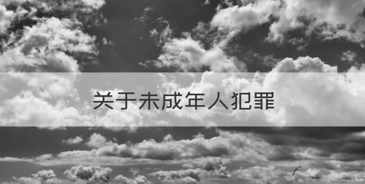 关于未成年人犯罪，关于未成年犯罪的刑法论文