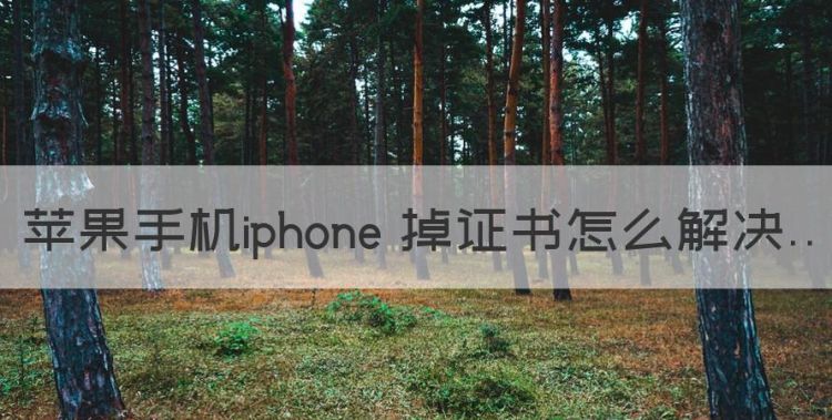 苹果手机iphone 掉证书怎么解决