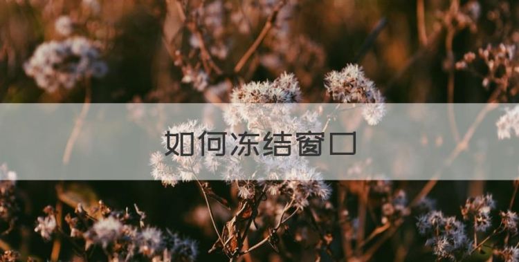 如何冻结窗口，excel表格中如何设置冻结某一行或几行窗口