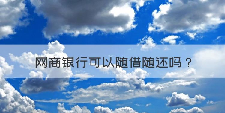 网商银行可以随借随还，网商贷分期12个月可以提前还款吗