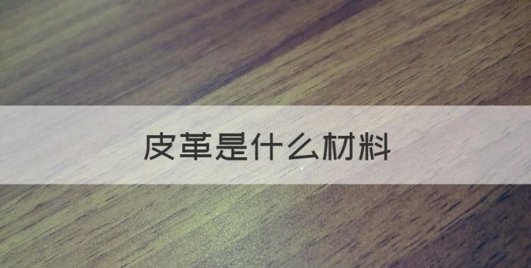 皮革是什么材料