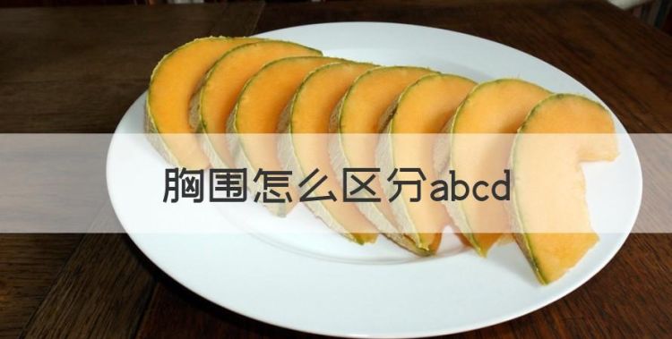 胸围怎么区分abcd，胸围abcd怎么分大小