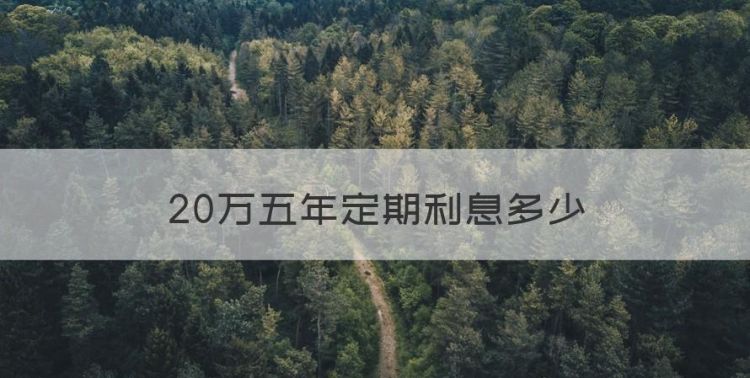 20万五年定期利息多少，现在存20万五年定期利息是多少