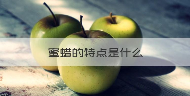 买老蜜蜡的禁忌，蜜蜡的特点是什么图1