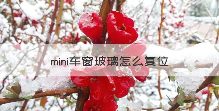 mini车窗玻璃怎么复位，mini车窗一键升降怎么激活