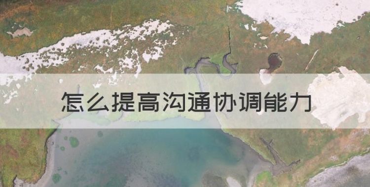 怎么提高沟通协调能力，我们自身拥有的沟通能力协调能力都属于