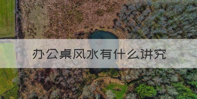 办公桌风水有什么讲究，办公桌摆放什么植物风水好