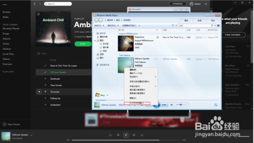 spotify怎么歌曲,spotify的播客怎么图12