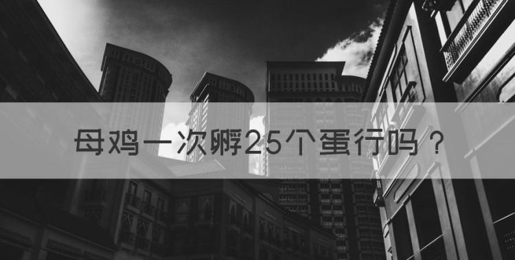 母鸡一次孵25个蛋行，母鸡一次能孵化出多少只小鸡呢图1