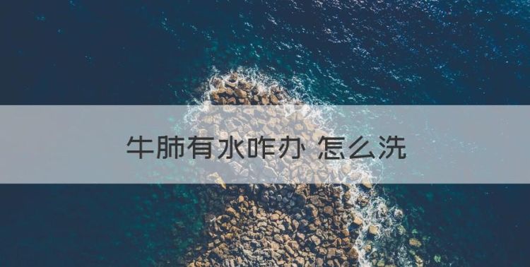 牛肺有水咋办 怎么洗图1