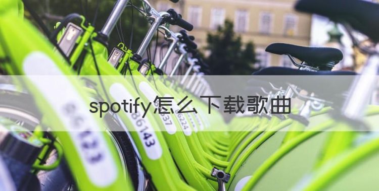 spotify怎么歌曲