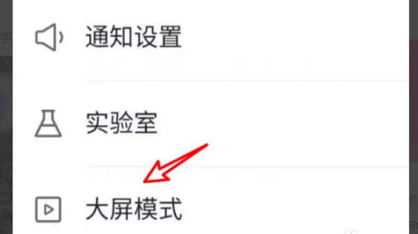 快手全面屏怎么设置,快手大屏版怎么设置图4