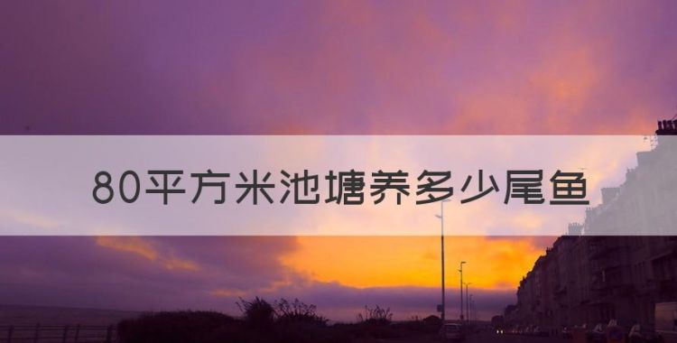 80平方米池塘养多少尾鱼，80亩的水库能养多少鱼呢