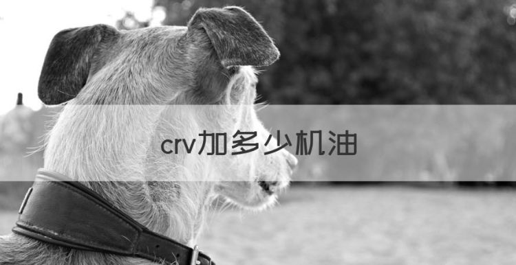 crv加多少机油，本田crv2.4用什么型号的机油图1