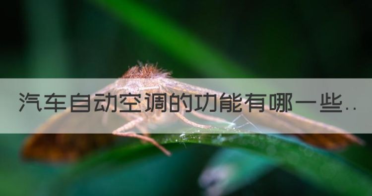 汽车空调的作用有哪些，汽车自动空调的功能有哪些