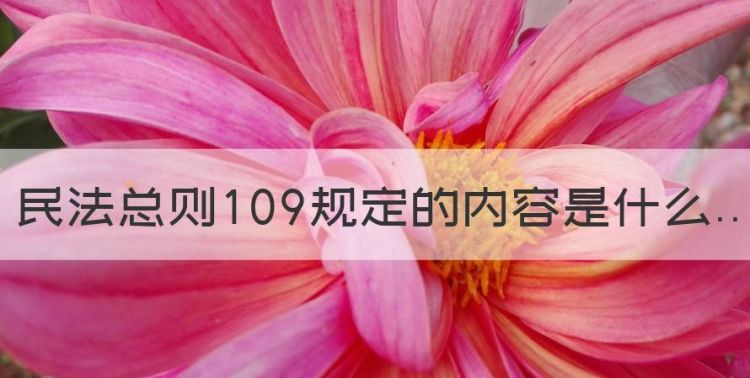 民法总则09规定的内容是什么，民法典第09条规定的内容是什么