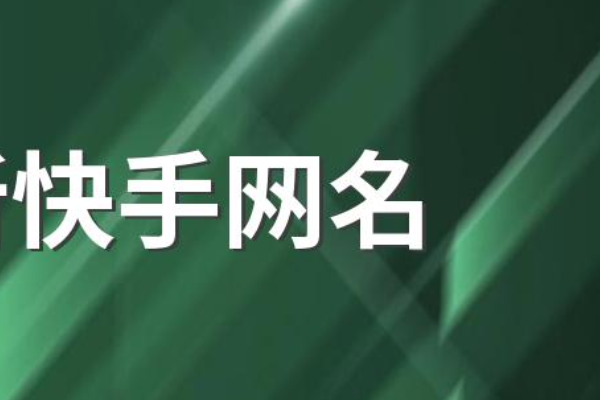 快手名字大全2023最新版,2023独特霸气快手名女图3