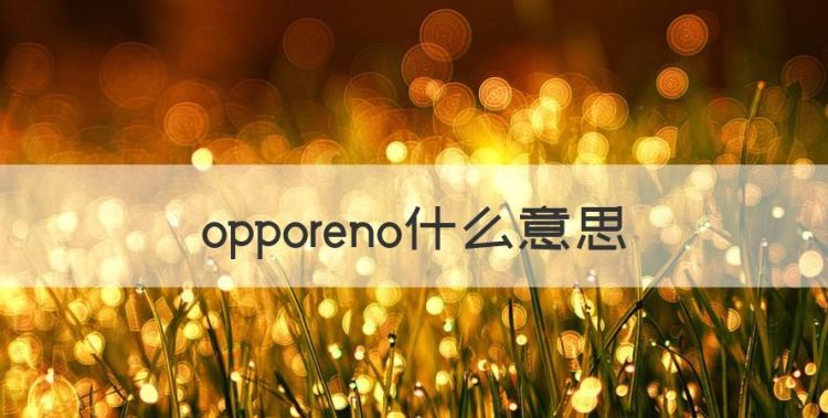 opporeno什么意思，opporeno是什么意思图1