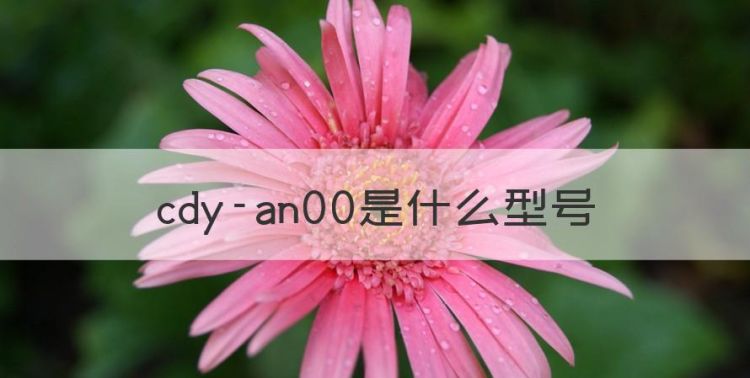 cdy-an00是什么型号，华为cdy-an00什么型号