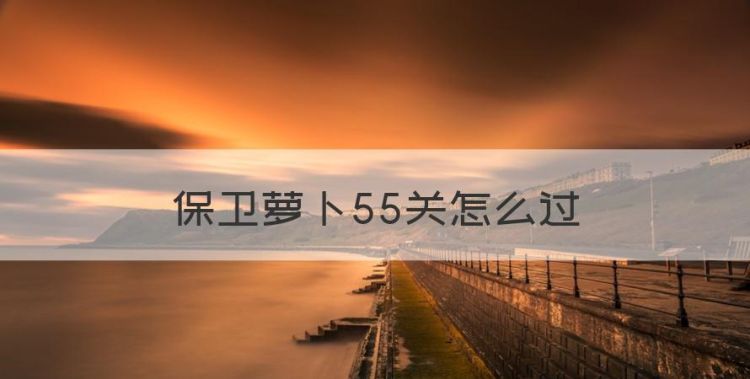 保卫萝卜55关怎么过，保卫萝卜3码头55攻略图解法图1