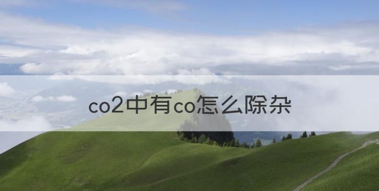 co2中有co怎么除杂