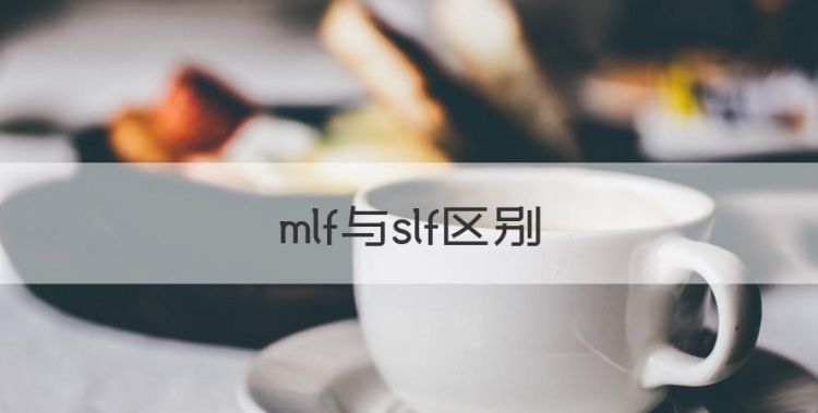 mlf与slf区别，SLF与MLF有什么区别