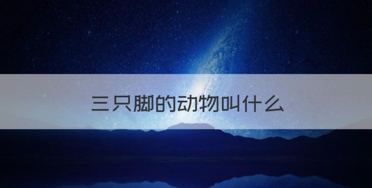 三只脚的动物叫什么图1