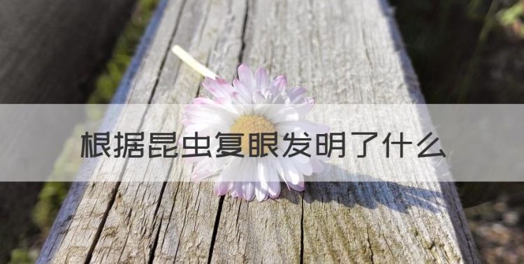 根据昆虫复眼发明了什么，人类通过昆虫发明了什么