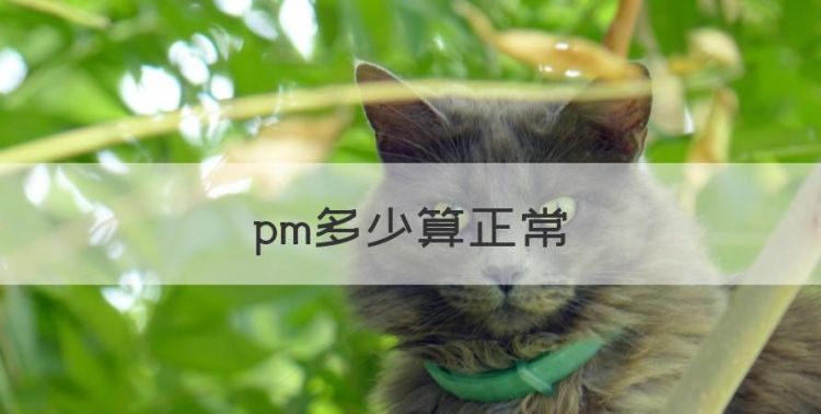 pm多少算正常，pm2.5标准范围多少正常