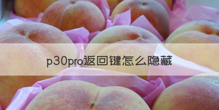 p30prohome键怎么设置，p30pro返回键怎么隐藏图1