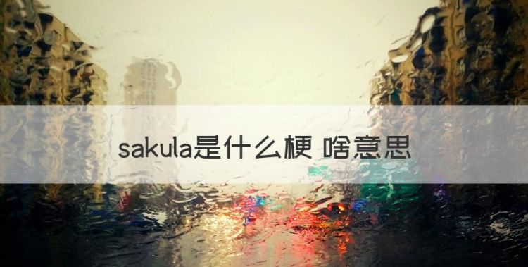 sakula是什么梗，sakula是什么梗 啥意思