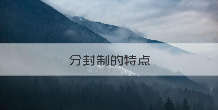 分封制的特点图1