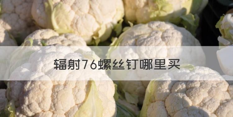 辐射76螺丝钉哪里买，辐射76废弃的垃圾场在哪图1