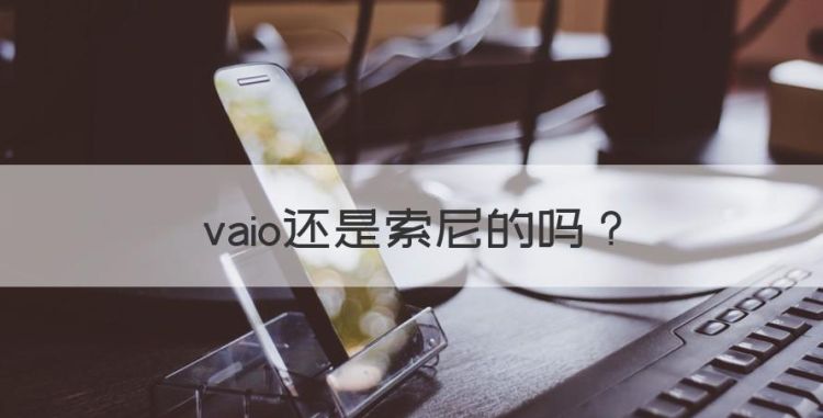 vaio还是索尼的，索尼还会收回vaio吗图1