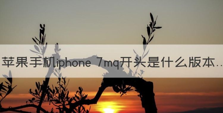 苹果手机iphone 7mq开头是什么版本