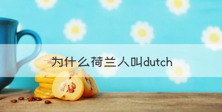 为什么荷兰人叫dutch