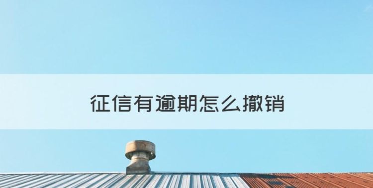 征信有逾期怎么撤销，征信有逾期怎么处理可以消除